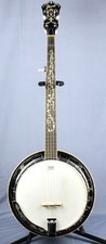 Ibanez B300 5-String Closed-Back Banjo