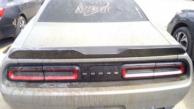 Trunk/Hatch/Tailgate Moulded In Black Without Logo Fits 15-23 CHALLENGER 5069450
