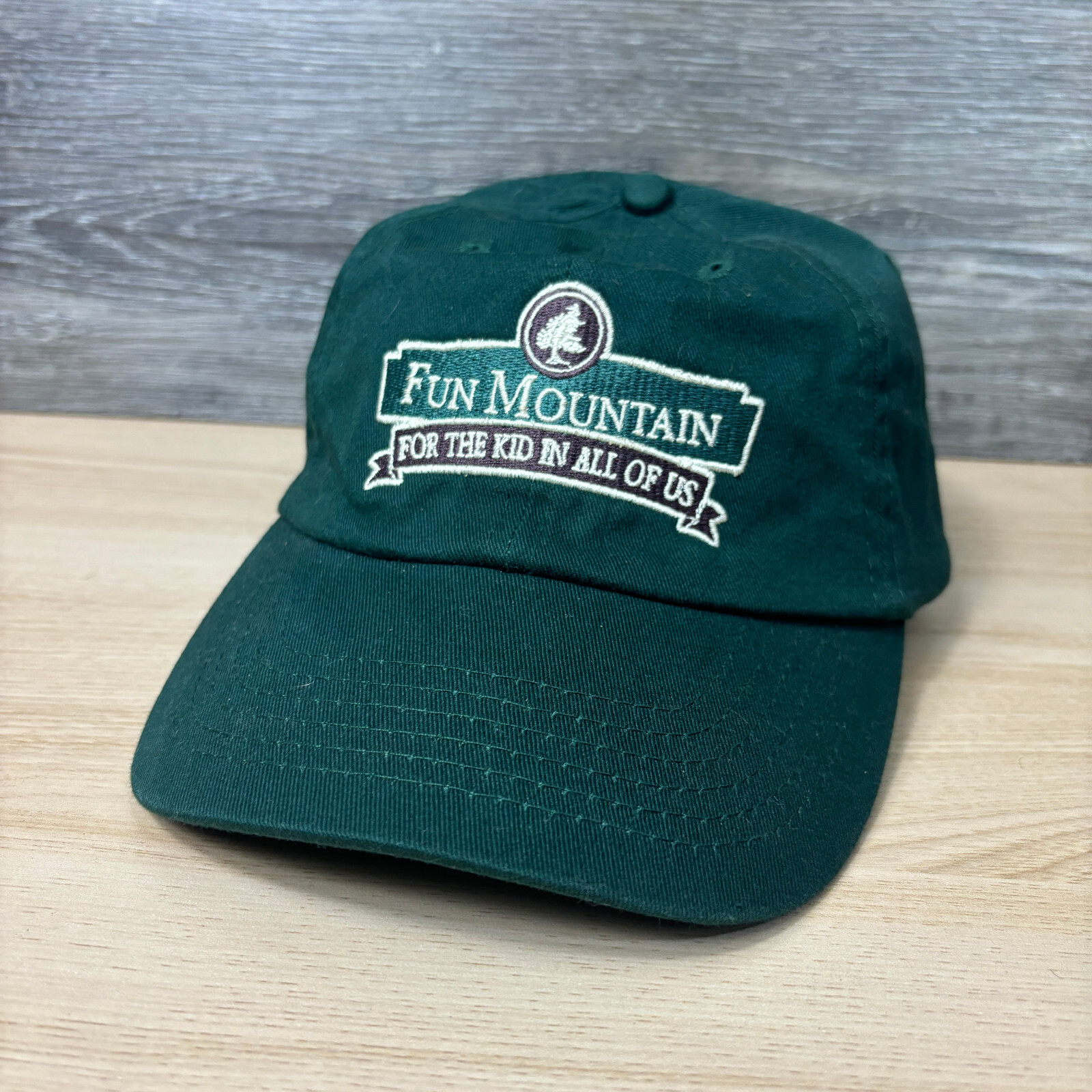 Fun Mountain Hat Cap Strap Back Green Ridgedale M… - image 3