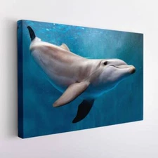 A young dolphin Wall Art Canvas Unframed Print Art