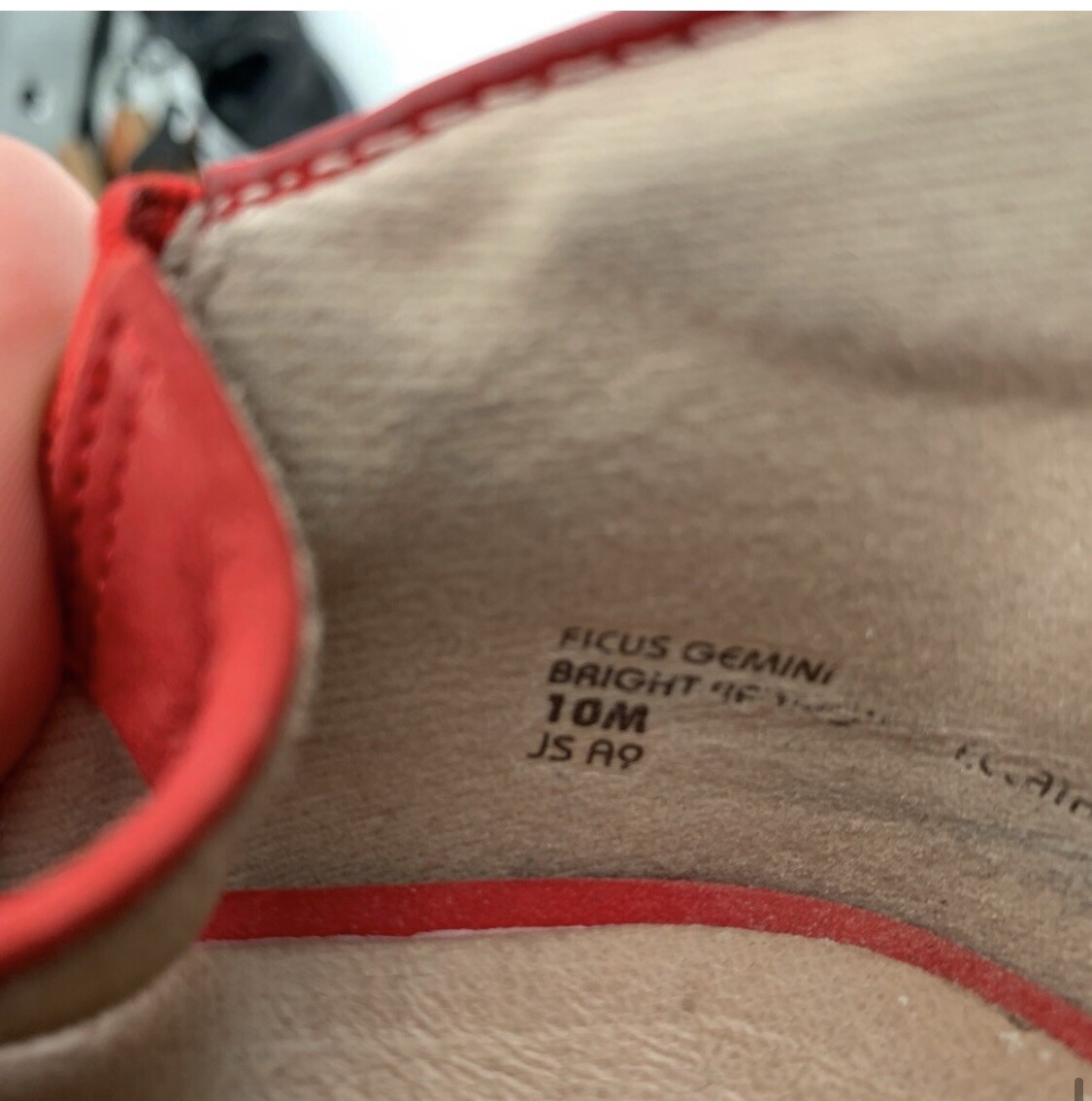 earth shoes ficus gemini