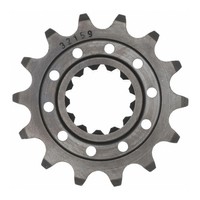 Esjot Ritzel 166801-14 #520 14 ZäHne (FüR: BMW HP4 K42 13-16 )