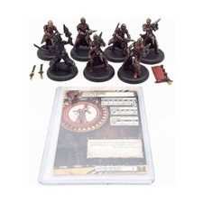 Privateer Press Hordes Mk II Skorne Venator Reivers 5 NM
