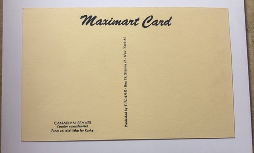 Kanada Biber Maximart Karte Postkarte - Bild 2 von 2