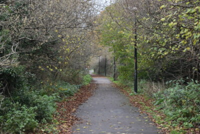 Photo 6x4 Tree-lined byway Salisbury  c2020