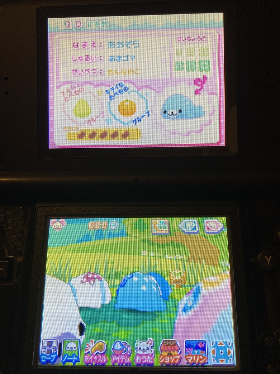 3DSそふと Nintendo DS San-X Mame Goma 3 Kawaii ga Ippai Japanese