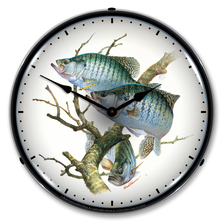 Crappies FIsh LED Backlit Clock