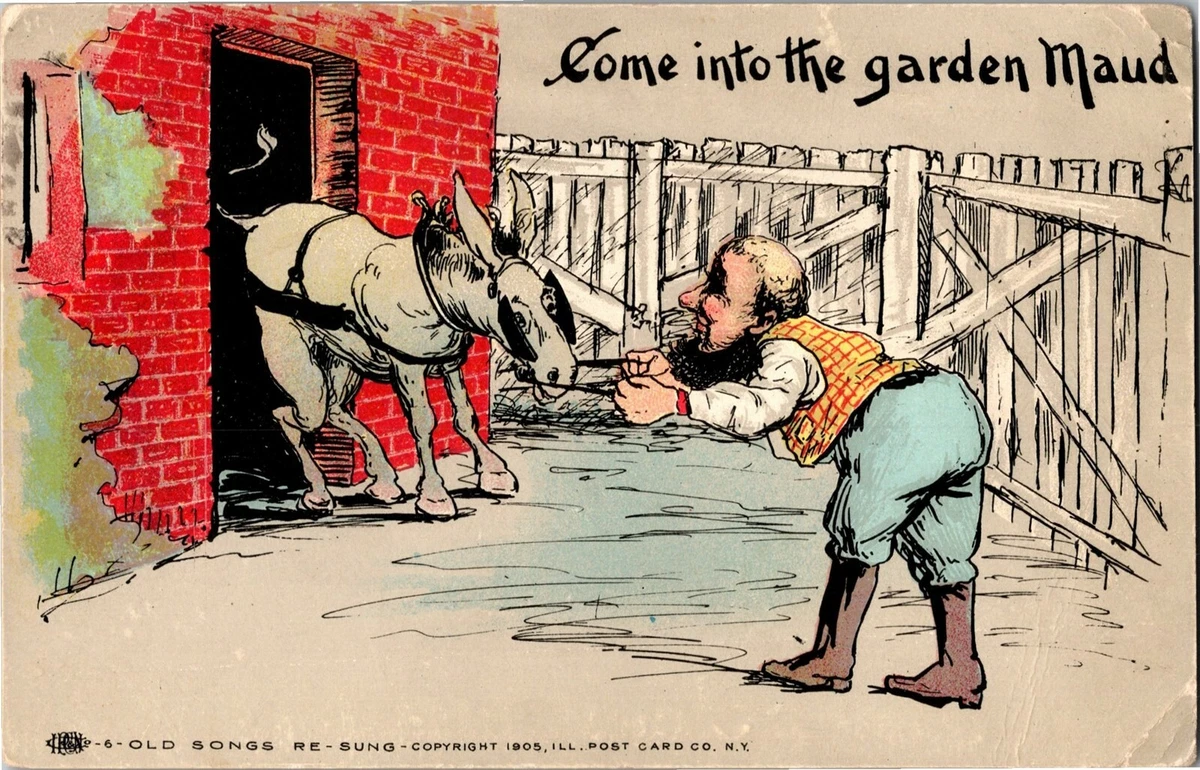 Pulling A Stubborn Mule