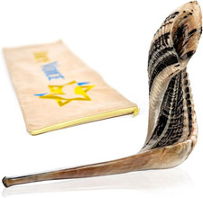 Kosher Ram Shofar Horn from Israel   16"-18" Musical Horn with Shofar Bag   Deco
