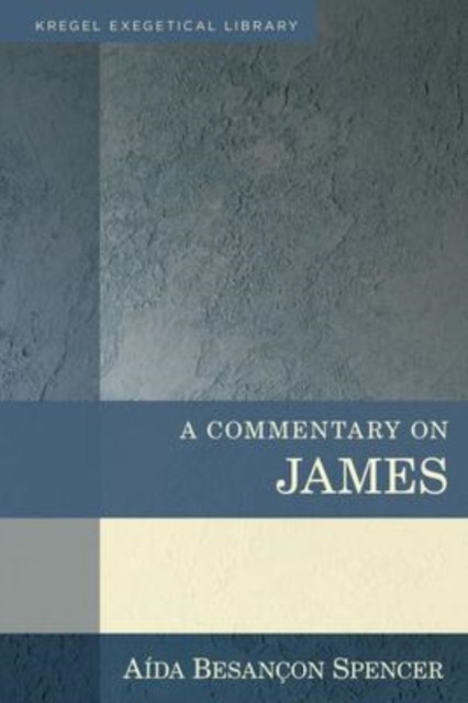 A Commentary on James by Aida Besancon Spencer HARDBACK 9780825444616