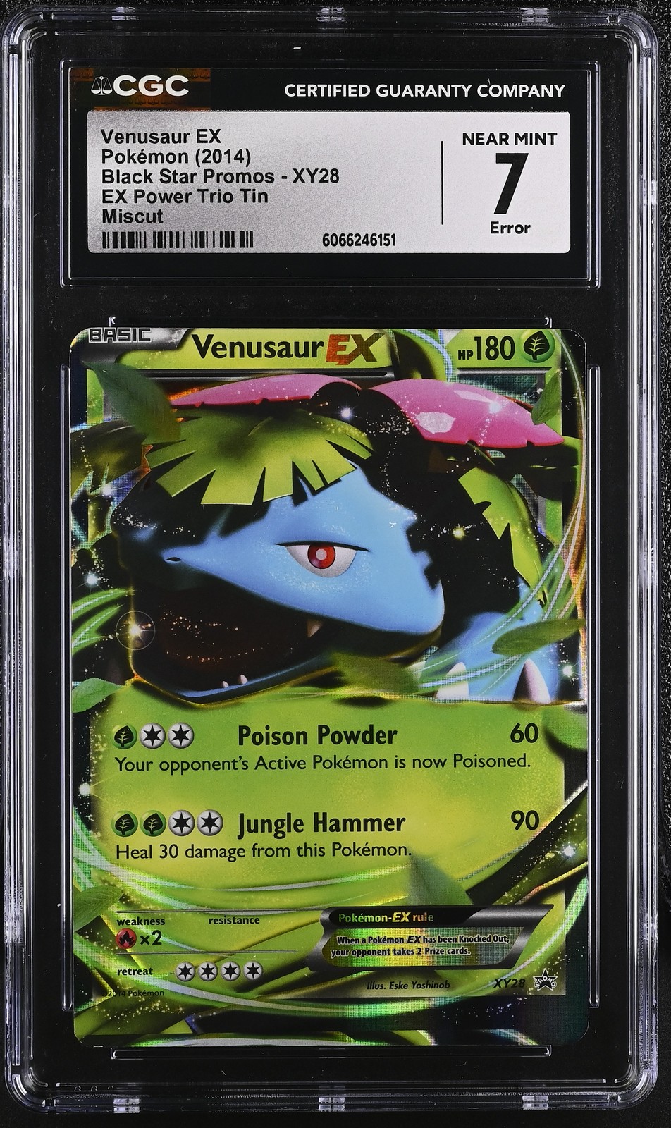CGC 7 Venusaur EX 2014 Black Star Promos XY28 EX Power Trio Tin Pokemon Card