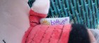 Hallmark Itty Bittys Linus Peanuts Charles Schulz Plush Stuffed Animal New Tags — photo 7