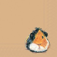 Ihr Serviette Pedro 33X33 Cm 20 StüCk Papierservietten Tischdeko Partybedarf