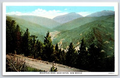 Raton New Mexico~Mountain Road~Scenic View~Evergreens~Vintage Postcard