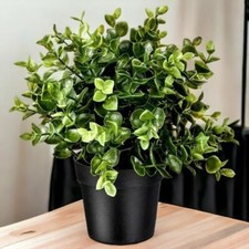 IKEA FEJKA Pianta di origano artificiale in vaso 83/4"