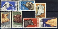 Romania  1962 Domestic Farm, Pets,  Animals, Sheep Ram, Cattle, Pig, Fauna @
