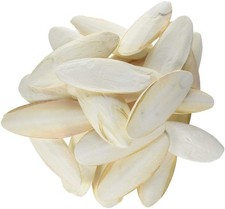Prevue Pet Products Cuttlebone Pack w/ Holder - 25 Natural Calcium Bones for Bir