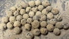 Civil War Original Archaeological Dug Relic Lot from Northern Virginia!