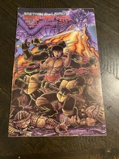 Teenage Mutant Ninja Turtles 18 TMNT Mirage Bruce Lee Eastman Laird Gemini Ship