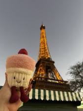 Jellycat Paris exclusive Amuseables Aérée Raspberry Soufflé BNWT