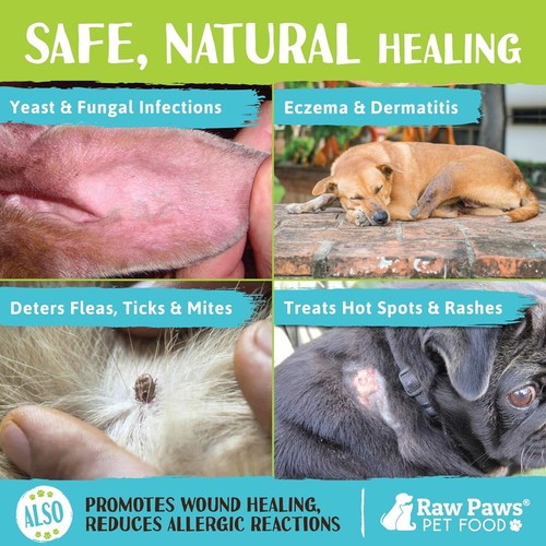 Organic Coconut Oil Balm For Dogs And Cats Dry Skin Itch Relief And Coat Care - Picture 4 of 6