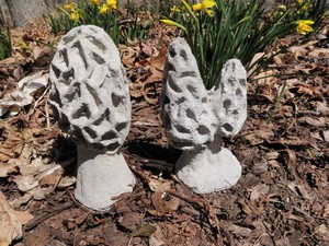 7 1/2" & 8 1/2" Tall Cement Morel Mushroom Set of 2 Garden Art Concrete