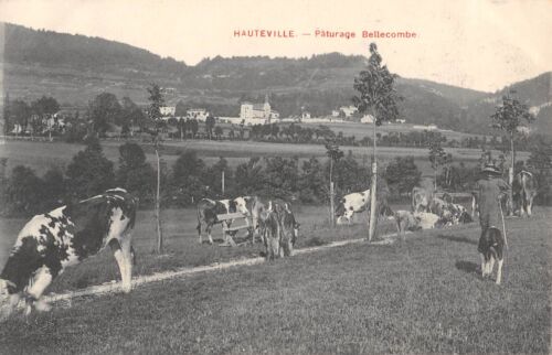 CPA 01 HAUTEVILLE PATURAGE BELLECOMBE - Picture 1 of 1