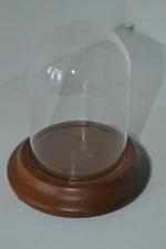 Small Glass Wood Base Dome Display