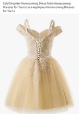 Beige Cold Shoulder Tulle Lace Applique Fit Flare Short Party Dress Girls