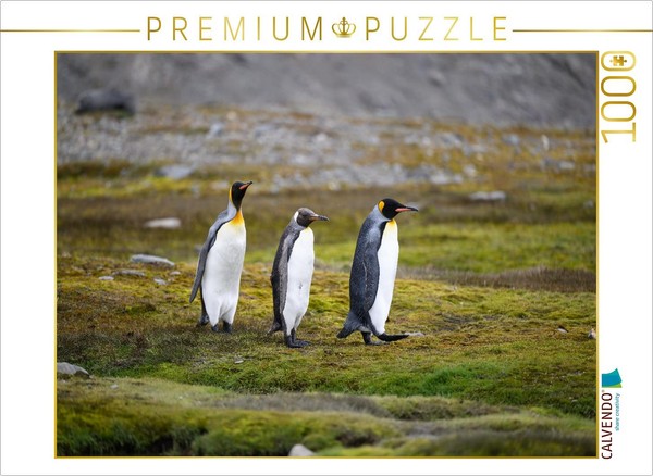 Calvendo Puzzle King Penguin Couple With Young | 1000 Pieces, Finished Size 25.2-image