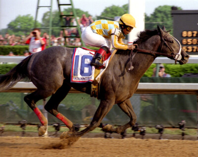 Monarchos 2001 Kentucky Derby Photo 8