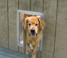 Dog Vue Kennel Door for indoor and outdoor dog kennels, dog houses and sheds