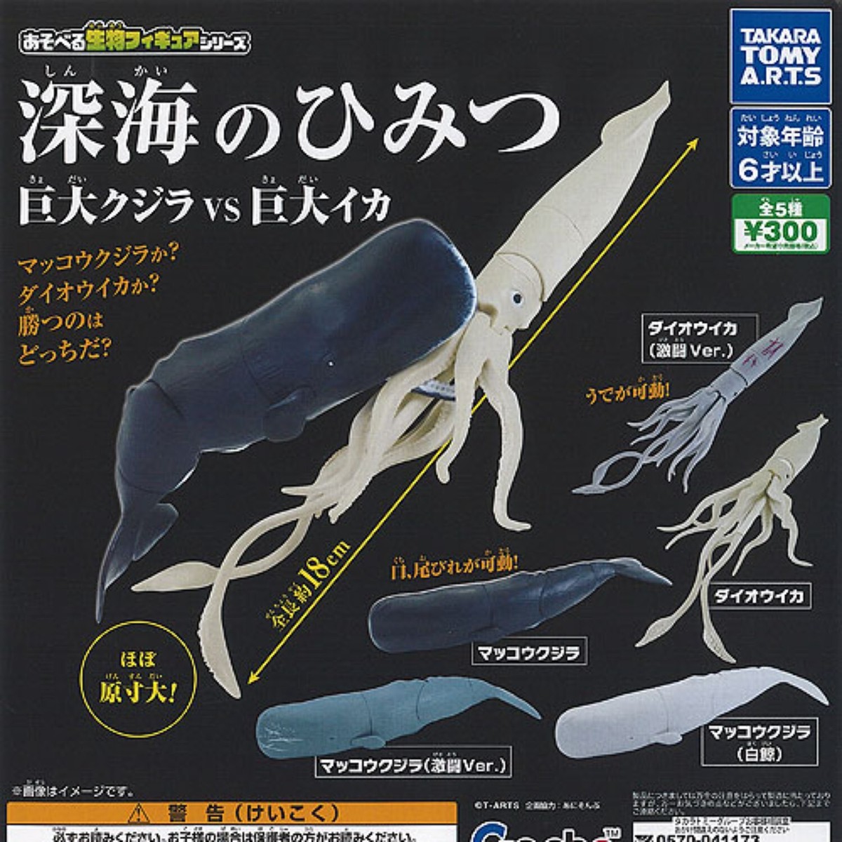 Colossal Squid Vs Blue Whale Sperm Whale Giant Squid Hi Res Stock