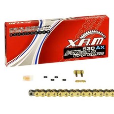 Catena X-Ring Bombardier DS 650, anno 00-05; XAM extra rinforzata ORO