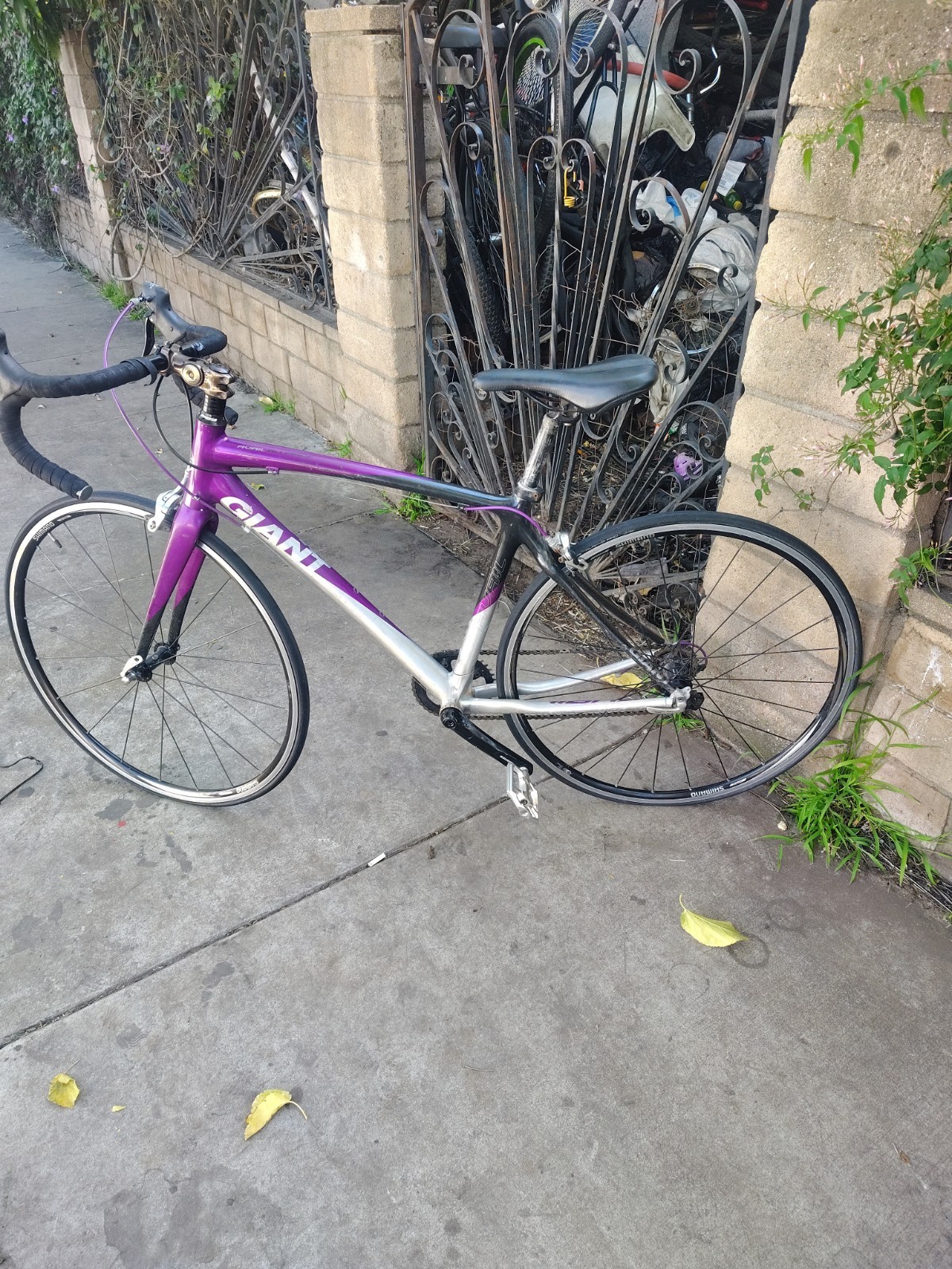 Giant Avail Road Bike Purple Silver 700C Drop Bar Caliper Brake Aluminum