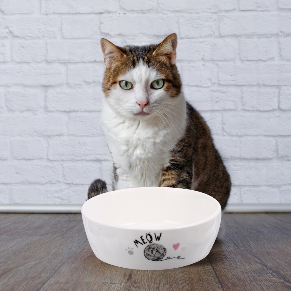 Cat Water Feeder Hamster Water Bowl Ceramic Cat Dish Ceramic Cat Water