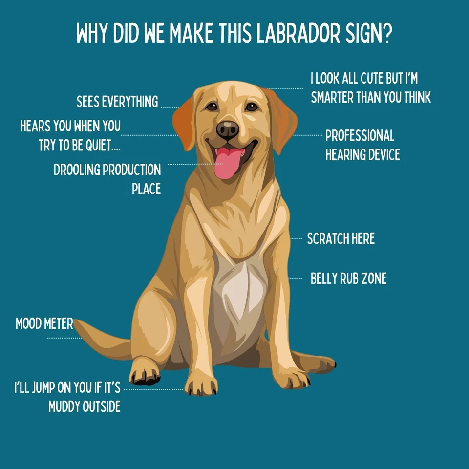 🐾 Letrero de bienvenida de hojalata de metal divertido Labrador On Duty, letrero de 8x12 hecho en EE. UU.🐾 Foto 2 de 4