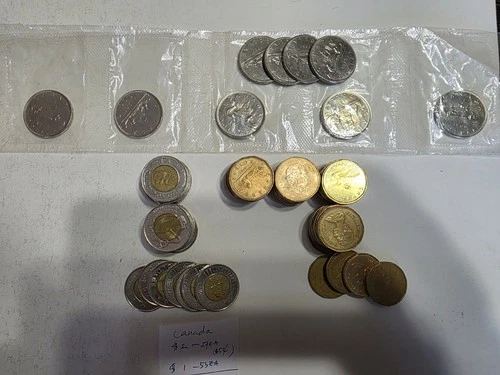 CANADA DOLLAR COIN LOT - 107 CAD