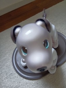 アイボ シルバー ERS-1000 Aibo ERS-1000 Overview | Learn About Aibo | Virtual Paws