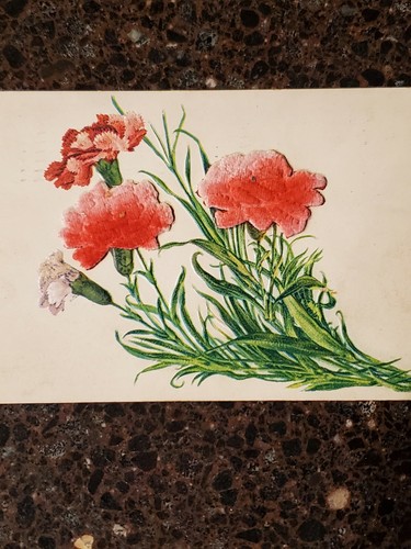 Postcard Posted1907 Embossed With Velvet Carnations Attached - Picture 2 of 6