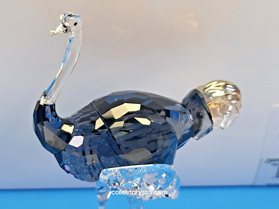 SWAROVSKI SCS 2023 ELEGANCE OF AFRICA OSTRICH MAKENA # 5636302