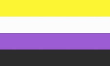 New Nonbinary Pride Flag - 100% goes to LGBTQ+ Organization