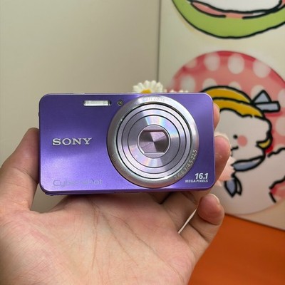 SONY Cyber-shot DSC-W570 16.1MP 5x Optical Zoom Digital Camera