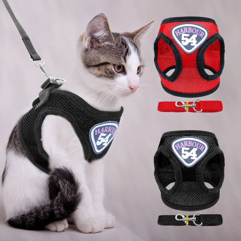 Kitten walking cheap harness
