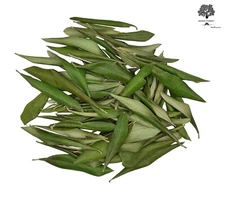 Greek Dried Olive Leaves 25g - 1.95Kg | Harvest 2025 | Αntidiabetic Tea