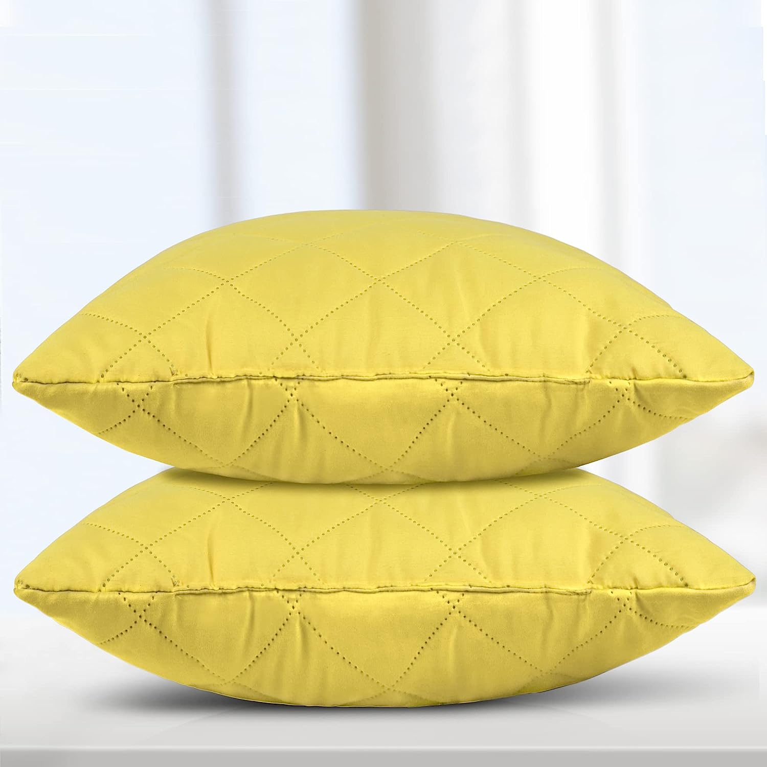 Pretty House Throw Pillow Filled Cushions Set of 2 Light Weight Yellow
