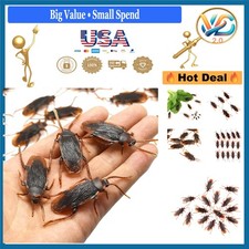 Fake Cockroach Toys 10pcs Prank Rubber Bugs Halloween Party Decor Brown