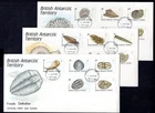 British Antarctic Territory - 1990 Fossils on 3 x First Day Cover