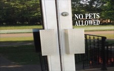 No Pets Allowed signs sticker decal business door 8 inch E199 vinyl store shop
