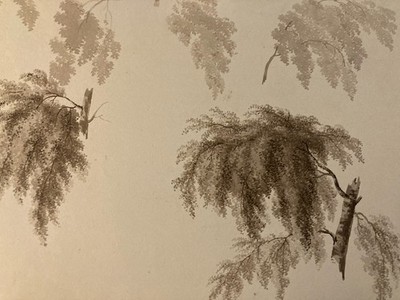 Very Beautiful Drawing XIX 1828 Ink Wash Study Ancient Tree Branch Leaf Art
